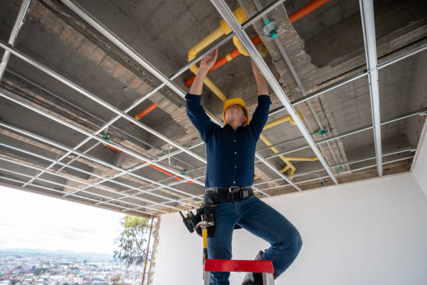 Best Sprinkler Systems  in Fairbank, IA